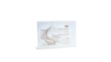Picture of Viscoderm Hydrogel Patch (1 Patch)